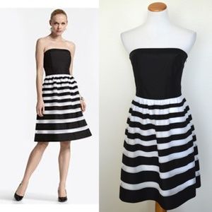 White House Black Market Strapless Tulle Striped